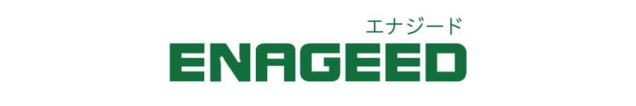未来創造キャリア教育ENAGEED