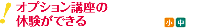 オプション講座の体験ができる！（小・中）